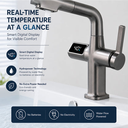 Digital Temperature Display Pull-Out Bathroom Faucet with Handheld Sprayer